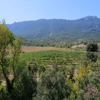 Photo de france - La randonnée du moulin de Ribaute